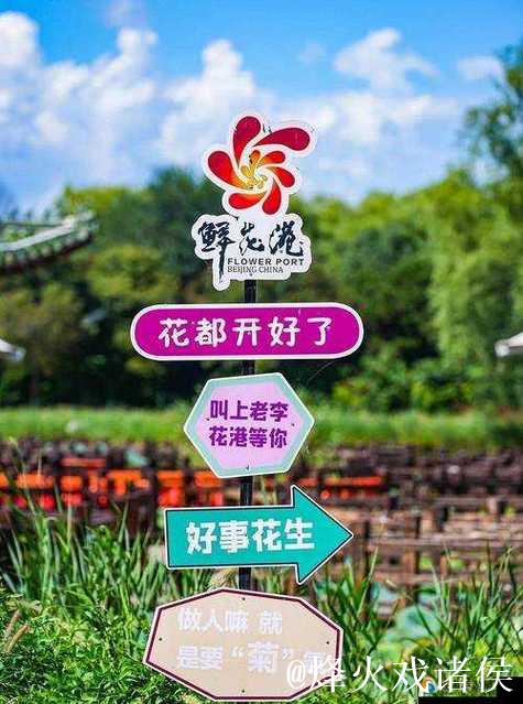 青青草青娱乐:畅享绿色生活与精彩影音体验 青青草青娱乐:畅享绿色生活与精彩影音体验